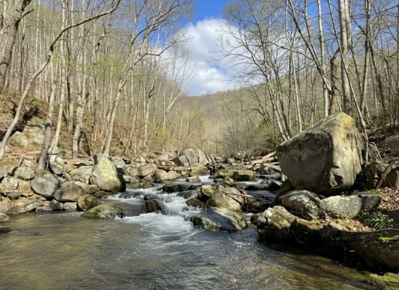 Bathroom Enlargement in Syria, VA